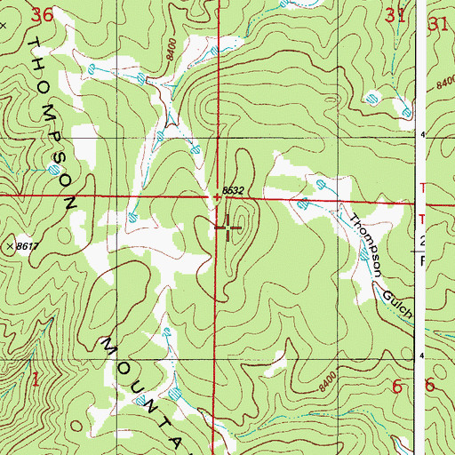 Topographic Map of Thompson Mountain, CO