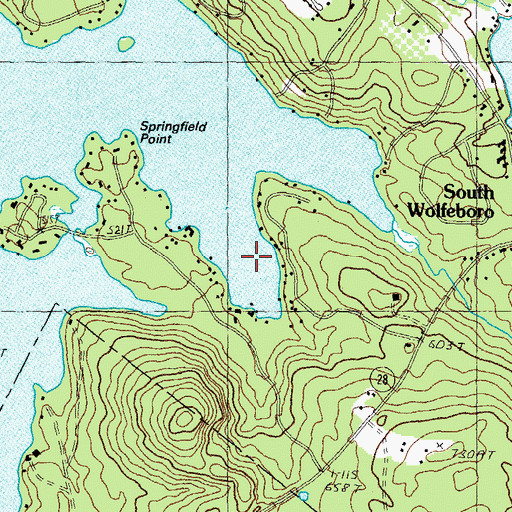 Topographic Map of Delings Cove, NH