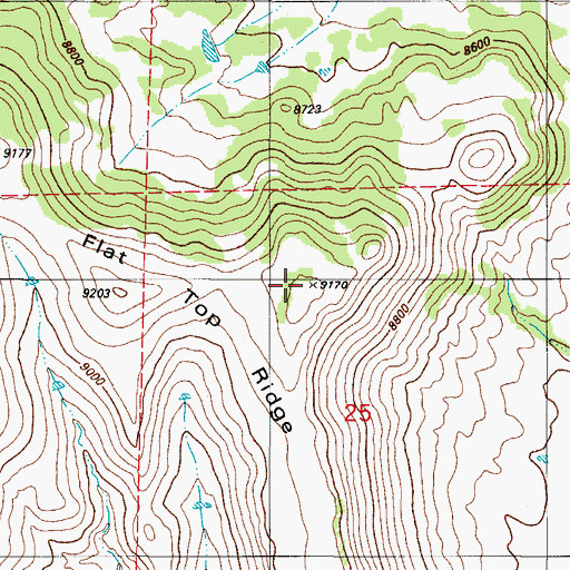 Topographic Map of Flat Top Ridge, CO