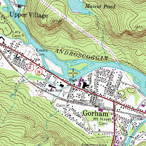 Topographic Map of Buck Island, NH