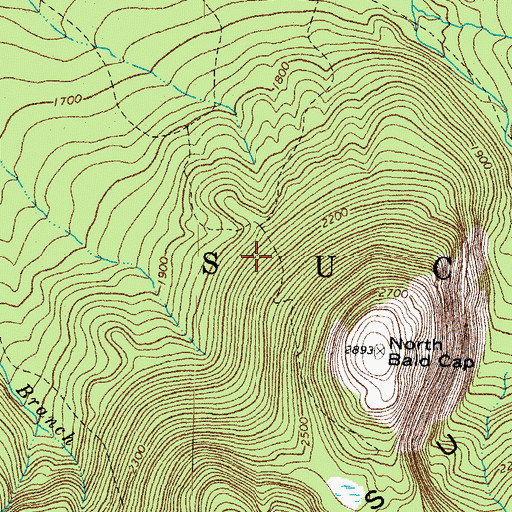 Topographic Map of Larry Flume, NH