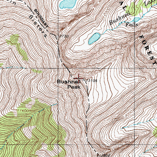 Topographic Map of Bushnell Peak, CO