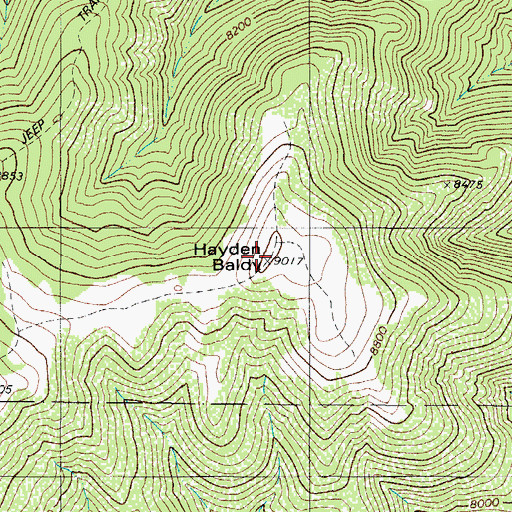 Topographic Map of Hayden Baldy, CO