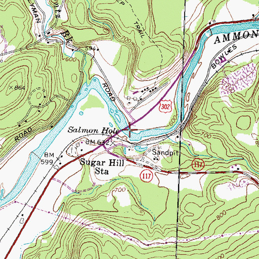 Topographic Map of Salmon Hole Bridge, NH
