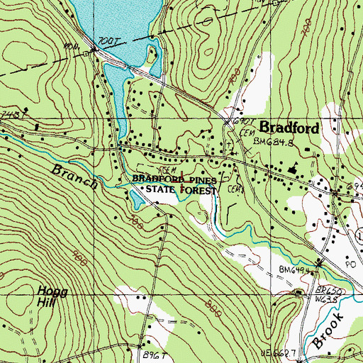 Topographic Map of Bradford Pines State Forest, NH