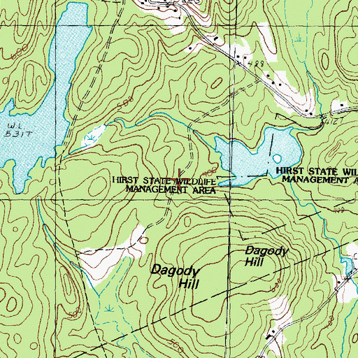 Topographic Map of Hirst State Wildlife Management Area, NH