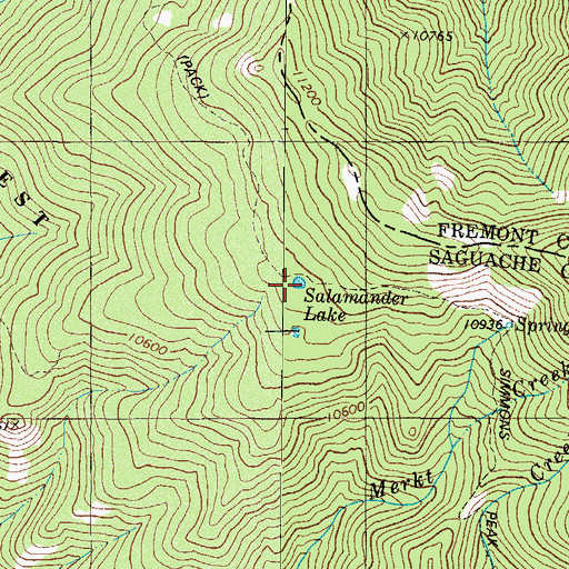 Topographic Map of Salamander Lake, CO