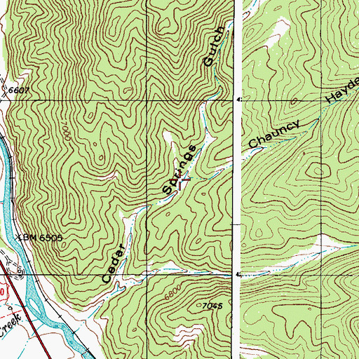 Topographic Map of Chauncy Hayden Gulch, CO