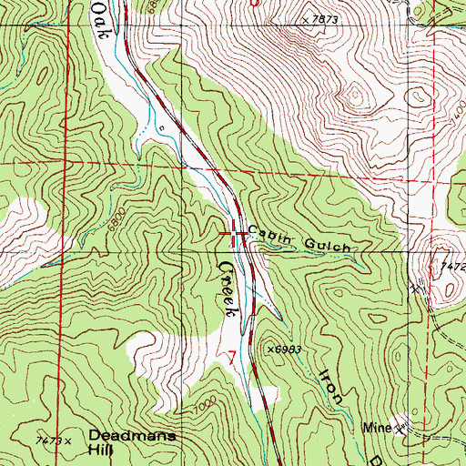 Topographic Map of Cabin Gulch, CO