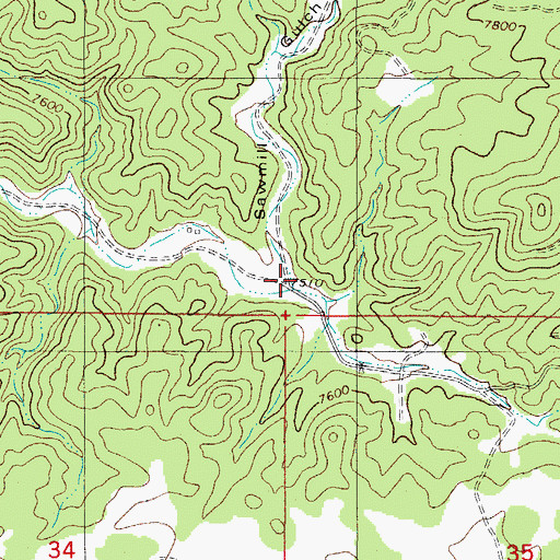 Topographic Map of Sawmill Gulch, CO