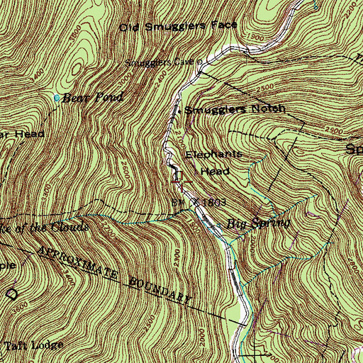 Topographic Map of Bingham Falls, VT