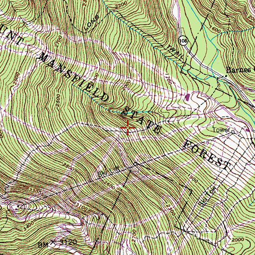 Topographic Map of Haselton Trail, VT