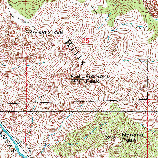 Topographic Map of Fremont Peak, CO