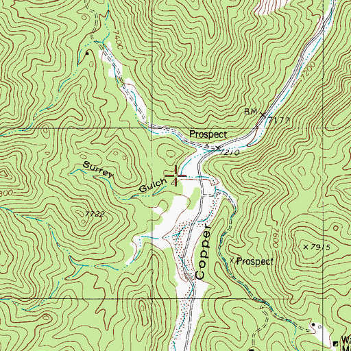 Topographic Map of Surrey Gulch, CO