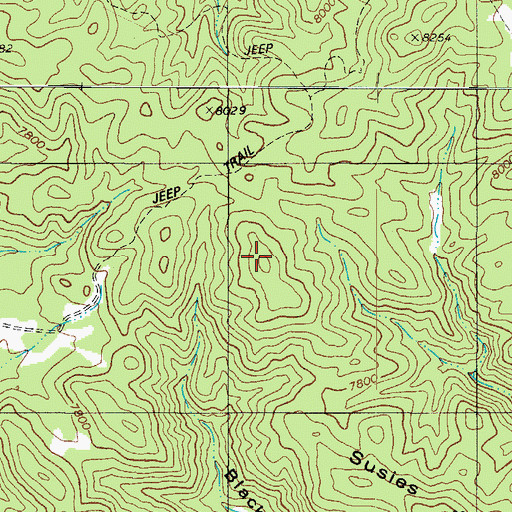 Topographic Map of Susies Ridge, CO