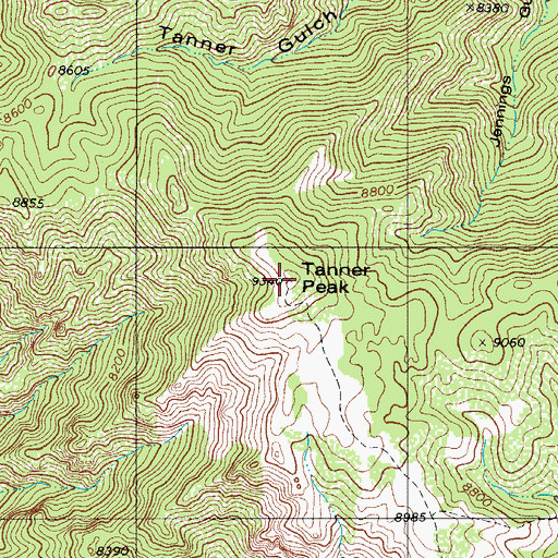 Topographic Map of Tanner Peak, CO