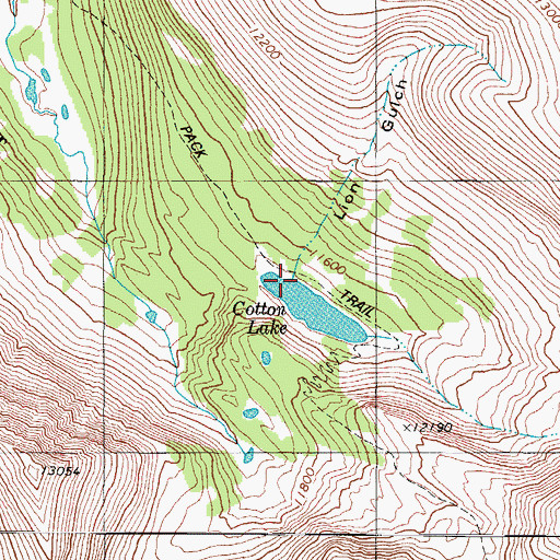 Topographic Map of Lion Gulch, CO