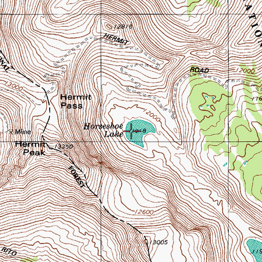 Topographic Map of Horseshoe Lake, CO