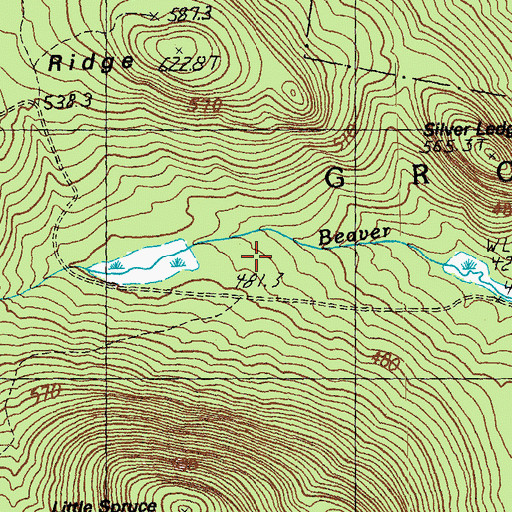 Topographic Map of Silver Ledge Trail, VT