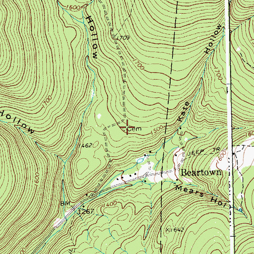 Topographic Map of Beartown Cemetery, VT