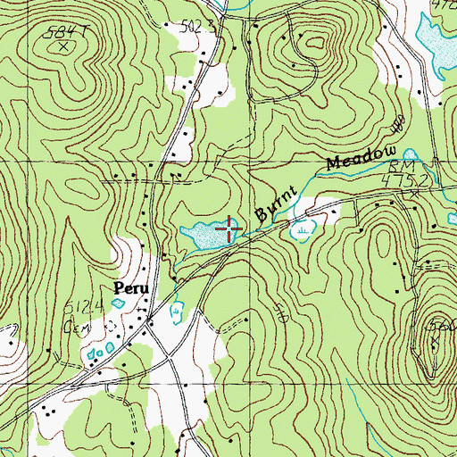 Topographic Map of Lyons Pond, VT