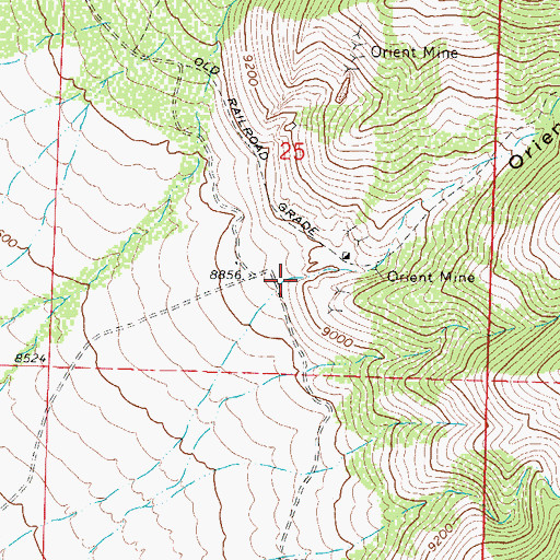 Topographic Map of Orient Canyon, CO