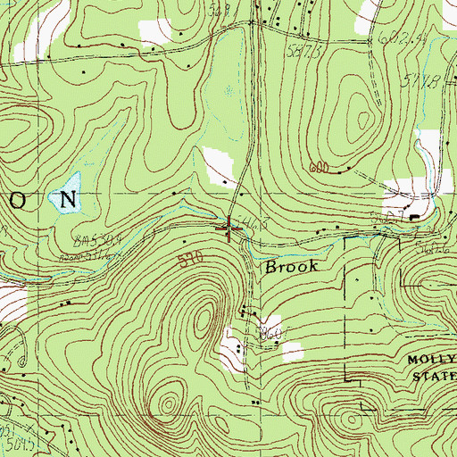 Topographic Map of Raponda Turn, VT