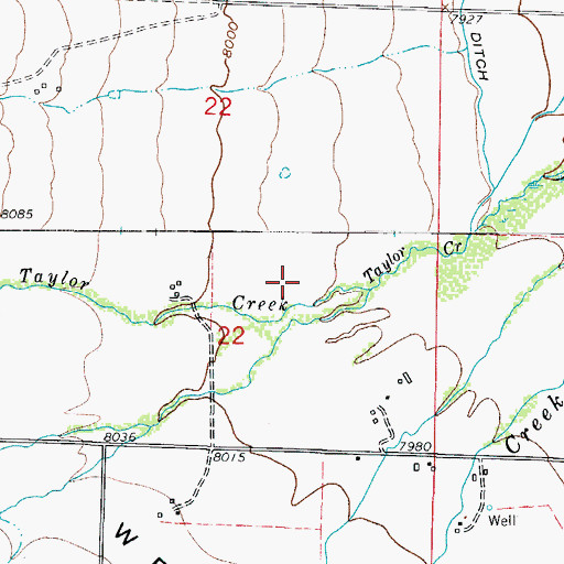 Topographic Map of North Taylor Creek, CO