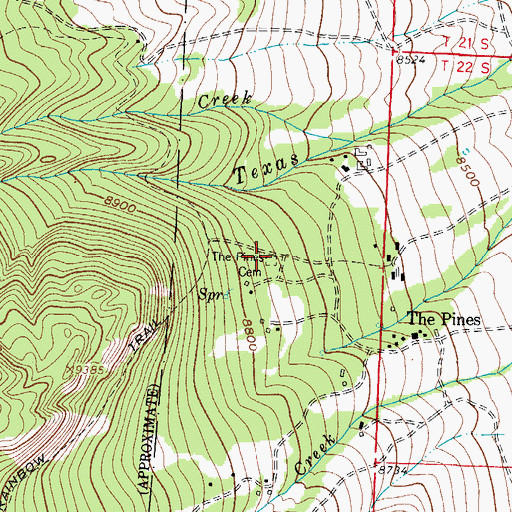 Topographic Map of The Pines Cemetery, CO
