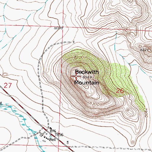 Topographic Map of Beckwith Mountain, CO