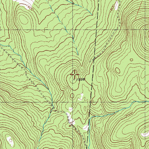 Topographic Map of Chelsea Municipal Forest, VT