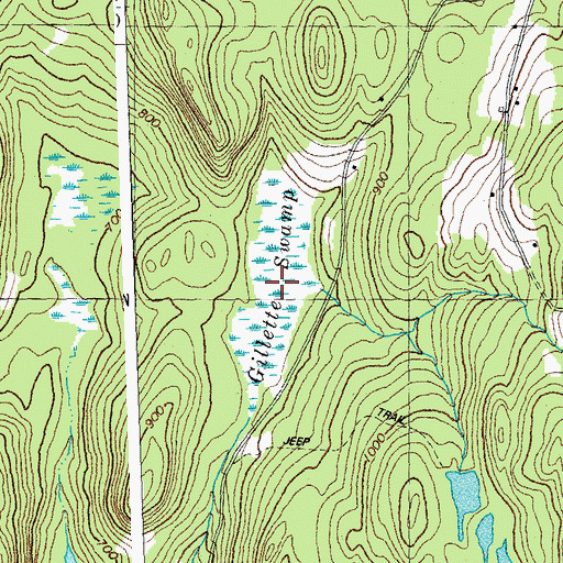 Topographic Map of Gillette Swamp, VT