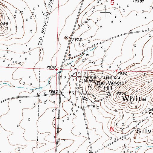Topographic Map of Herman Passiflora Mine, CO