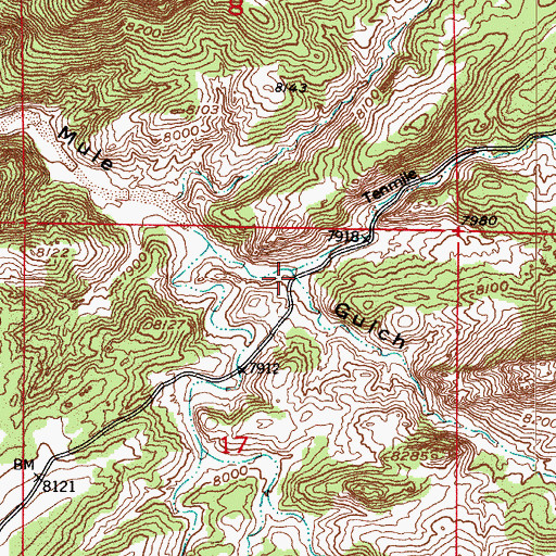Topographic Map of Tenmile Gulch, CO