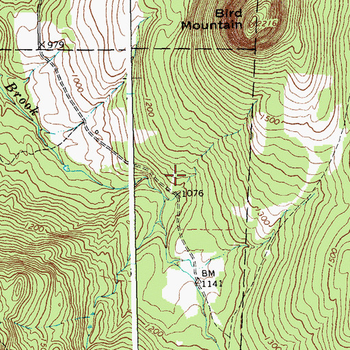 Topographic Map of Bird Mountain Wildlife Management Area, VT