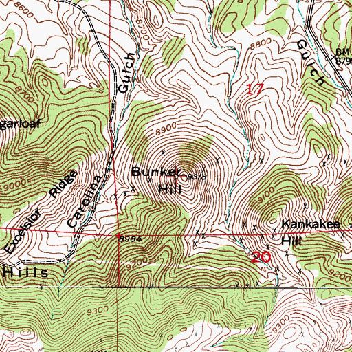 Topographic Map of Bunker Hill, CO