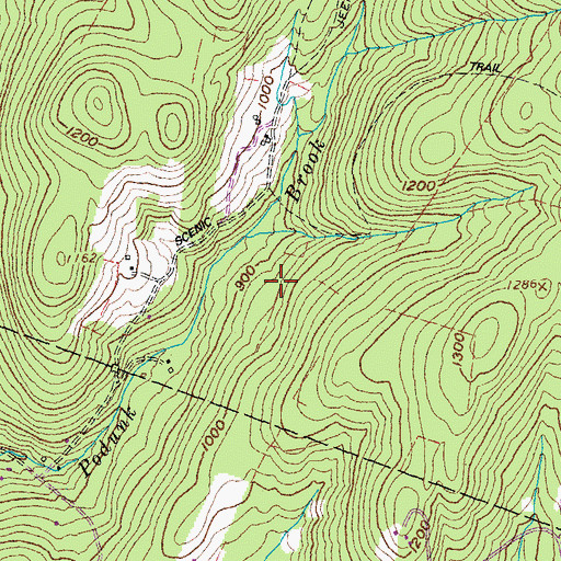 Topographic Map of Norwich Town Forest, VT