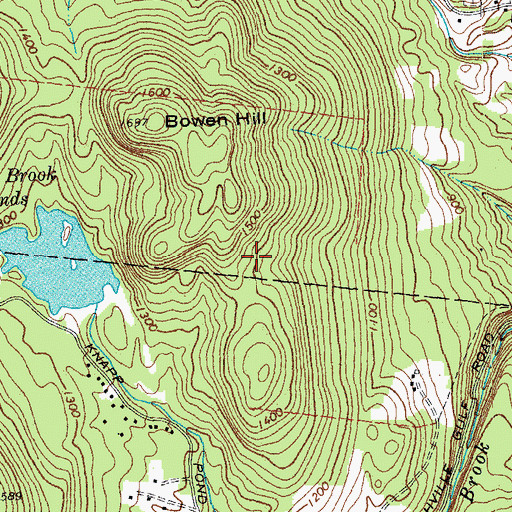 Topographic Map of Reading Municipal Forest, VT