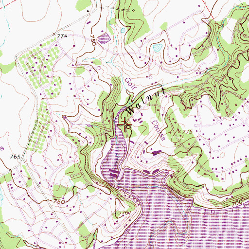 Topographic Map of DeCordova, TX