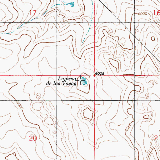 Topographic Map of Laguna de las Vacas, NM