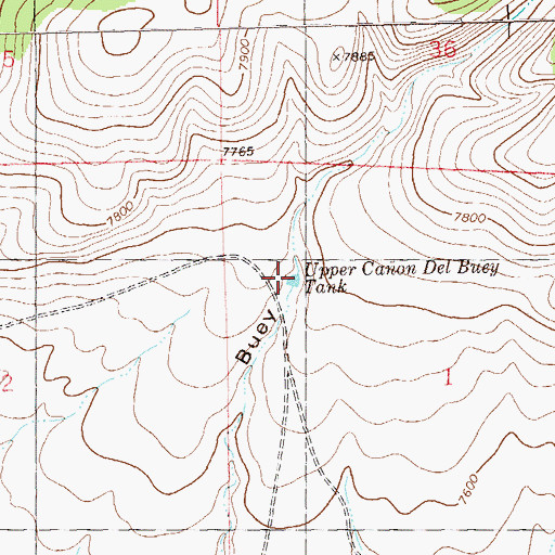 Topographic Map of Upper Canondel Buey Tank, NM