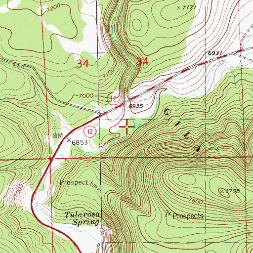 Topographic Map of Canon del Buey, NM