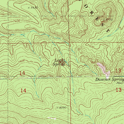 Topographic Map of Lopez Spring, NM
