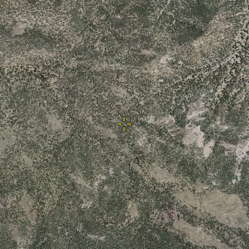 Aerial/Satellite Image of Lopez Spring, NM