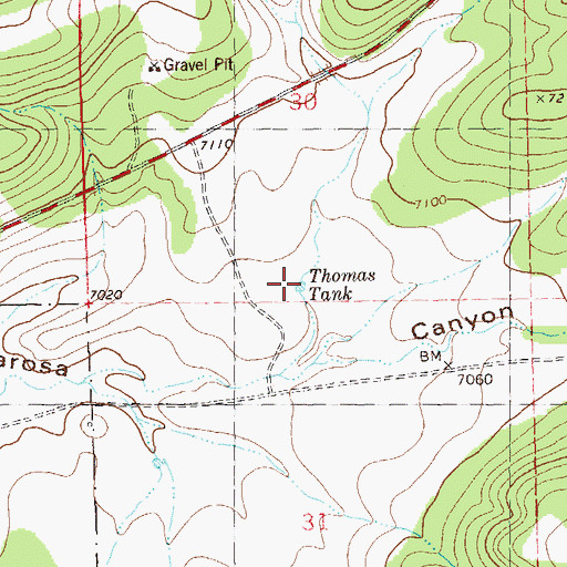 Topographic Map of Thomas Tank, NM