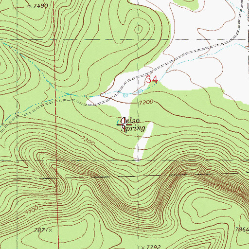 Topographic Map of Celso Spring, NM