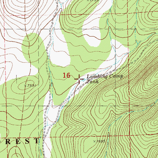 Topographic Map of Lambing Camp Tank, NM