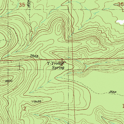 Topographic Map of T-Trough Spring, NM