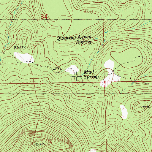 Topographic Map of Mud Spring, NM
