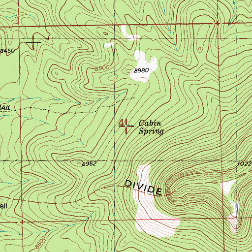 Topographic Map of Cabin Spring, NM